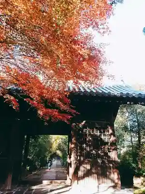 輪王寺の山門・神門
