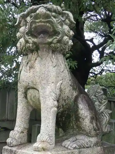 岡山神社の狛犬