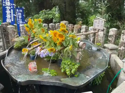 青岸渡寺(和歌山県)