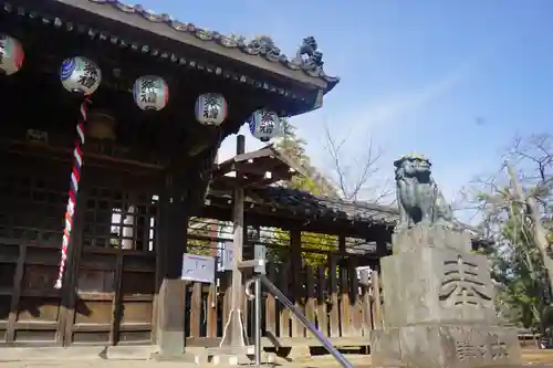 下総野田愛宕神社の狛犬