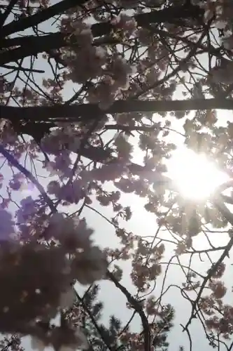 密藏院(埼玉県)