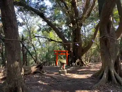 神社（名称不明）(千葉県)