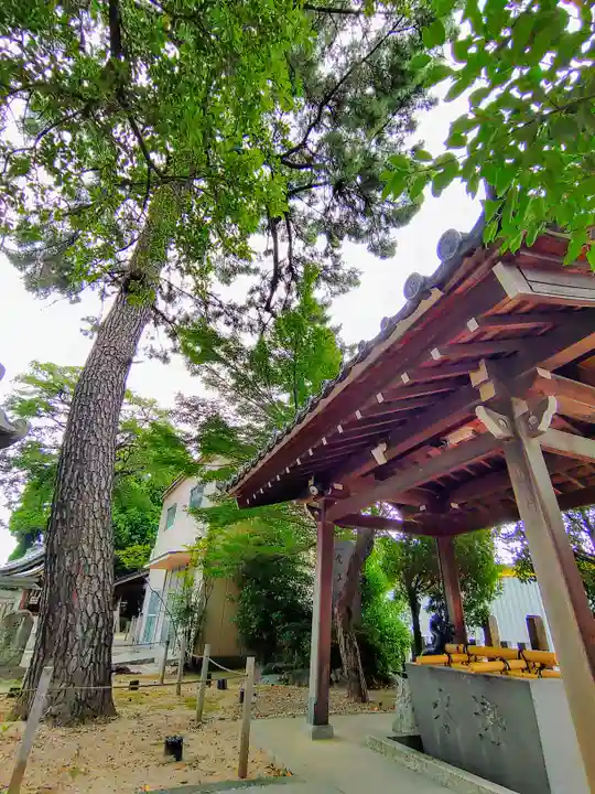 大井神社(如意)の手水舎