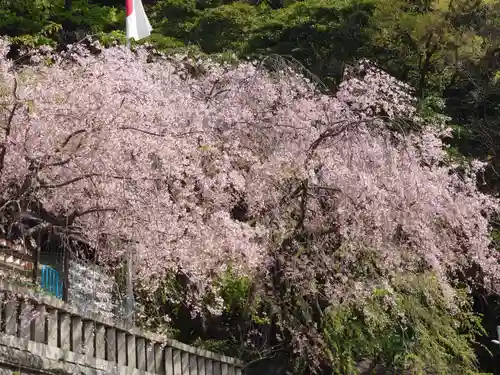 根岸八幡神社の庭園