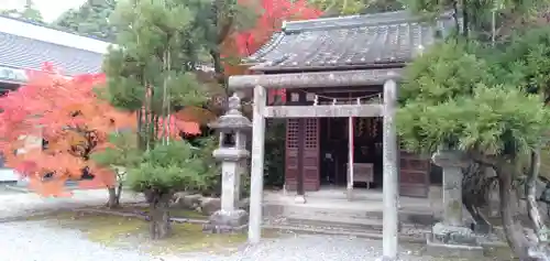 新屋坐天照御魂神社の本殿