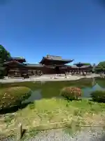 平等院の{uncategorized: "未分類", other: "その他", undefined: "問題あり", building: "その他建物", grave: "お墓", sacred_gate: "鳥居", guardian: "狛犬", statue: "像", buddha: "仏像", history: "歴史", nature: "自然", garden: "庭園", animal: "動物", pagoda: "塔", temizu: "手水舎", mountain_gate: "山門・神門", sanctuary: "本殿・本堂", subordinate: "末社・摂社", art: "芸術", scenery: "景色", jizo: "地蔵", ema: "絵馬", goshuin: "御朱印", omikuji: "おみくじ", items: "授与品その他", amulet: "お守り", goshuincho: "御朱印帳", eats: "食事", festival: "お祭り", votive_dance: "神楽", shichigosan: "七五三参", wedding: "結婚式", experience: "体験その他", initially: "初詣", around: "周辺", anti_infection: "感染症対策"}