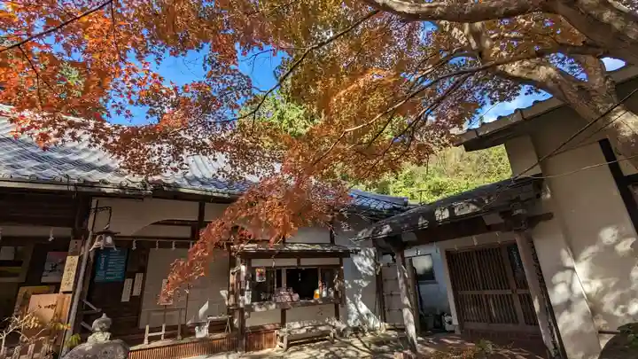 十輪寺(京都府)