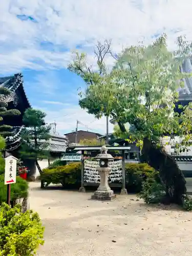 誉田八幡宮(大阪府)
