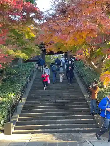 円覚寺の景色