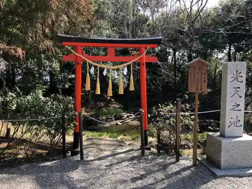 鷲宮神社(埼玉県)