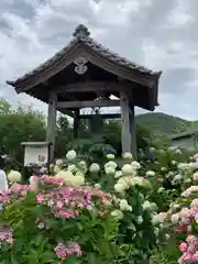 円照寺の建物その他