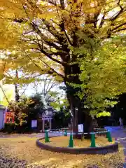 鳩森八幡神社(東京都)