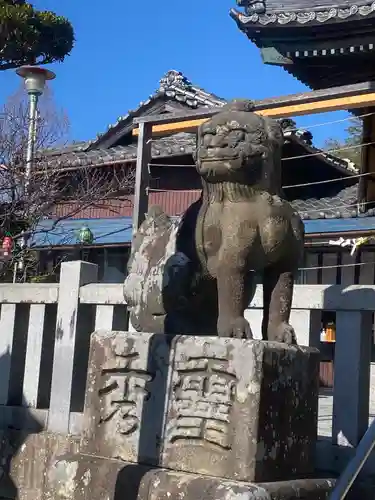 岡崎天満宮の狛犬