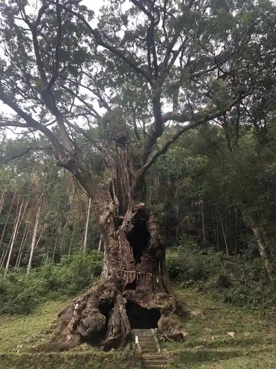 武雄神社の自然