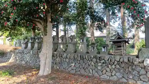 飯玉神社(埼玉県)