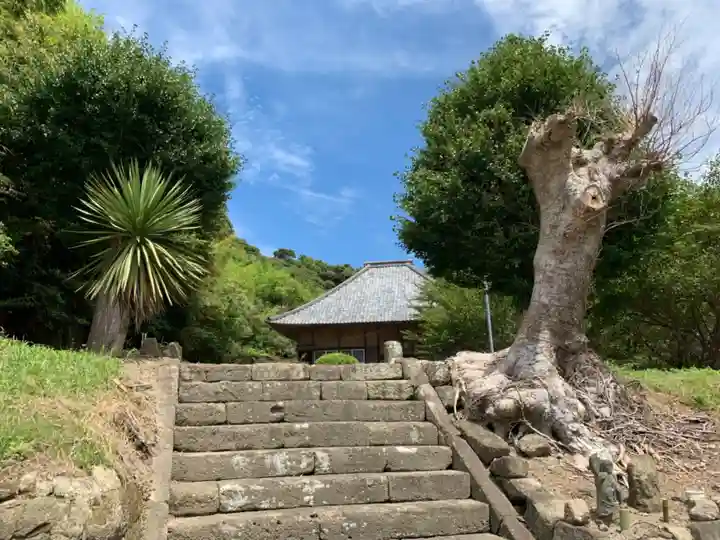 天徳寺のその他建物