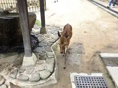 大願寺(広島県)