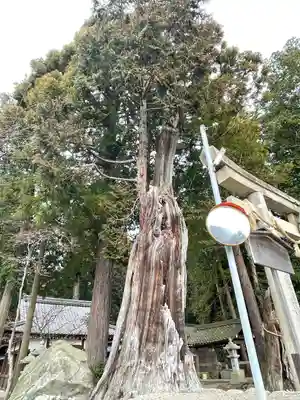 坂本神社(滋賀県)