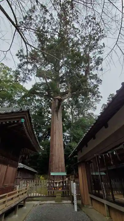 事任八幡宮の自然