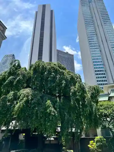 常圓寺(東京都)