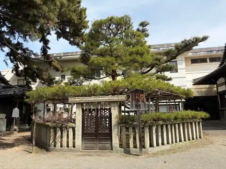 高砂神社の{uncategorized: "未分類", other: "その他", undefined: "問題あり", building: "その他建物", grave: "お墓", sacred_gate: "鳥居", guardian: "狛犬", statue: "像", buddha: "仏像", history: "歴史", nature: "自然", garden: "庭園", animal: "動物", pagoda: "塔", temizu: "手水舎", mountain_gate: "山門・神門", sanctuary: "本殿・本堂", subordinate: "末社・摂社", art: "芸術", scenery: "景色", jizo: "地蔵", ema: "絵馬", goshuin: "御朱印", omikuji: "おみくじ", items: "授与品その他", amulet: "お守り", goshuincho: "御朱印帳", eats: "食事", festival: "お祭り", votive_dance: "神楽", shichigosan: "七五三参", wedding: "結婚式", experience: "体験その他", initially: "初詣", around: "周辺", anti_infection: "感染症対策"}