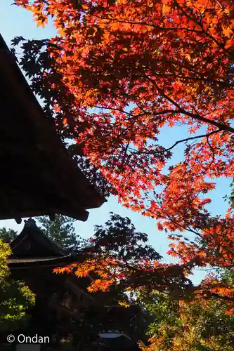 円成寺(奈良県)