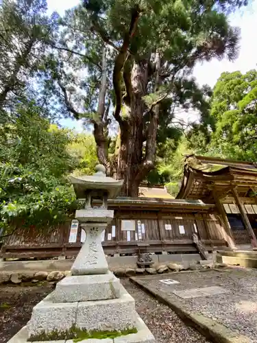 若狭姫神社（若狭彦神社下社）の建物その他