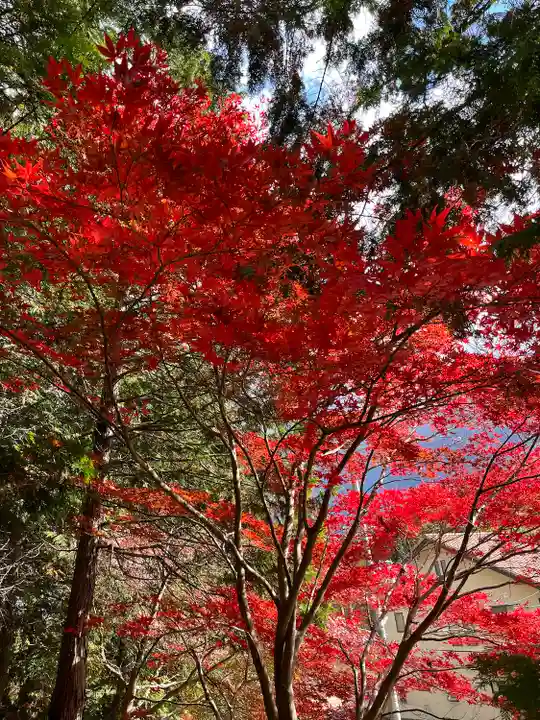滑川神社 - 仕事と子どもの守り神の自然