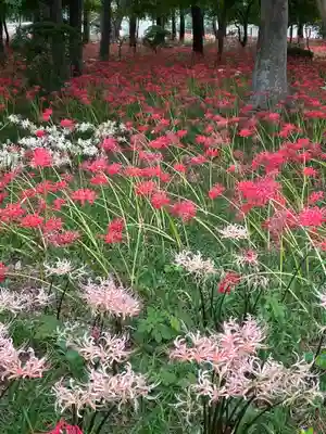 祖光院(千葉県)