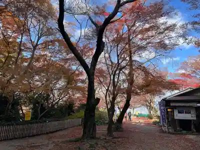 石清水八幡宮(京都府)