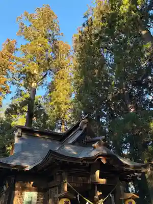 風隼神社(茨城県)