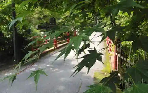 呑山観音寺のその他建物