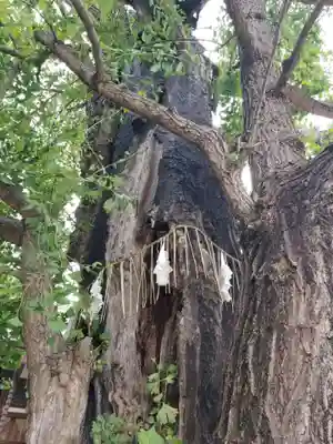 飛木稲荷神社のその他建物
