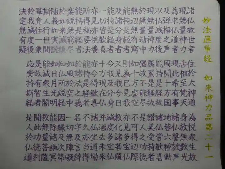 宗徳寺の体験その他