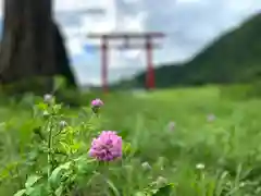 貴船神社の自然