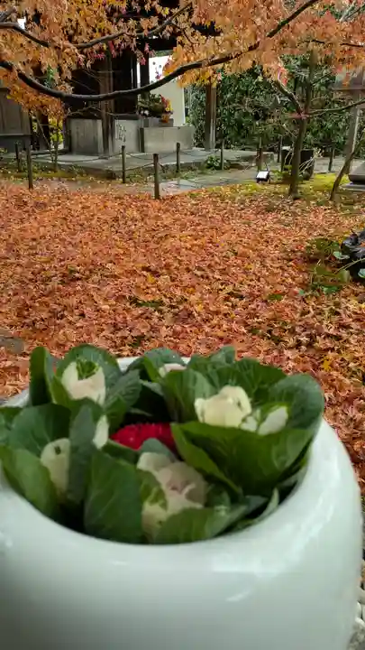 勝林寺(京都府)