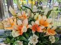 彌彦神社 (伊夜日子神社)の手水舎