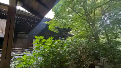 柳谷観音　楊谷寺(京都府)