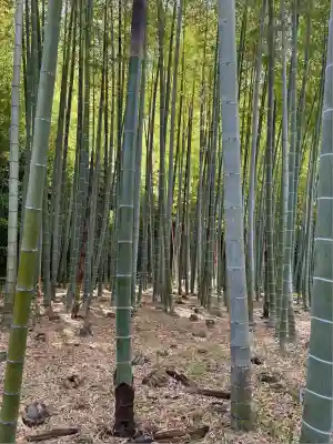 英勝寺(神奈川県)