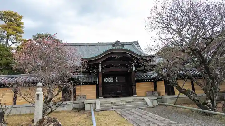 くろ谷 金戒光明寺(京都府)