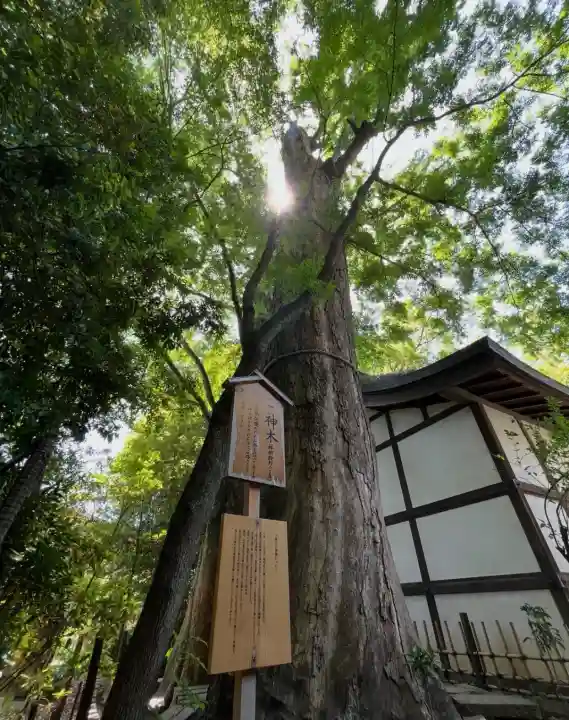 川越氷川神社(埼玉県)