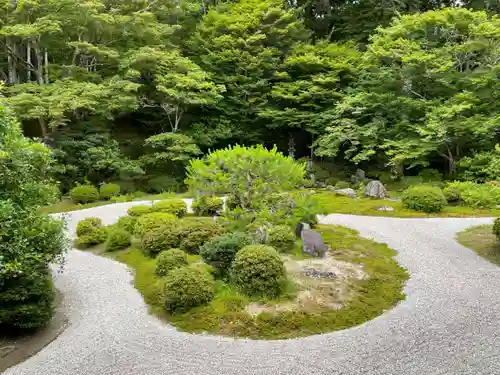 曼殊院門跡の庭園