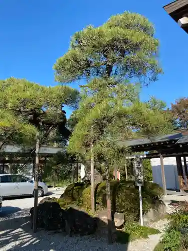 白鷺神社(栃木県)