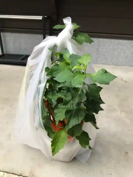 検見川神社のその他建物