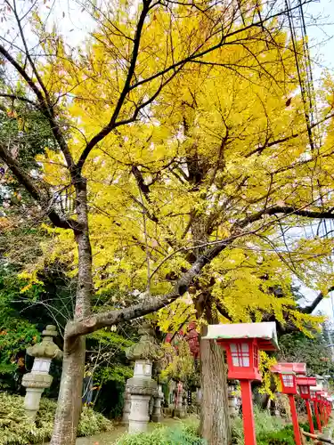 神炊館神社 ⁂奥州須賀川総鎮守⁂の景色