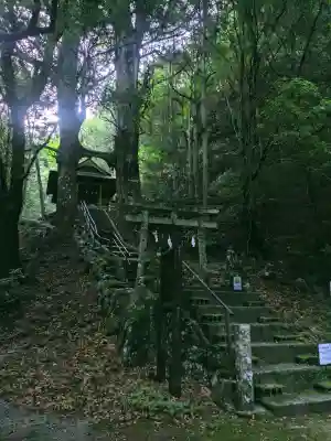 地主神社（桑の川の鳥居杉）(高知県)