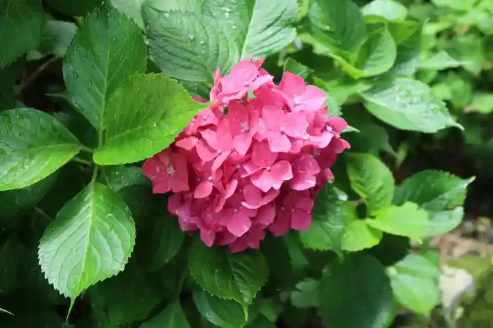 赤後寺(滋賀県)