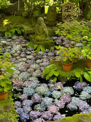 長谷寺(神奈川県)