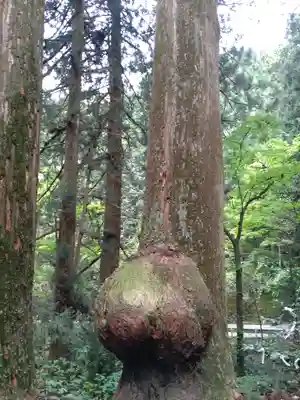 花園神社(茨城県)