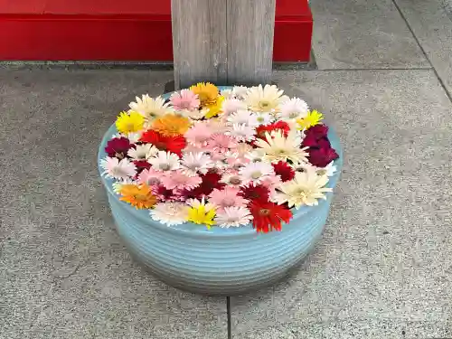 草加神社(埼玉県)